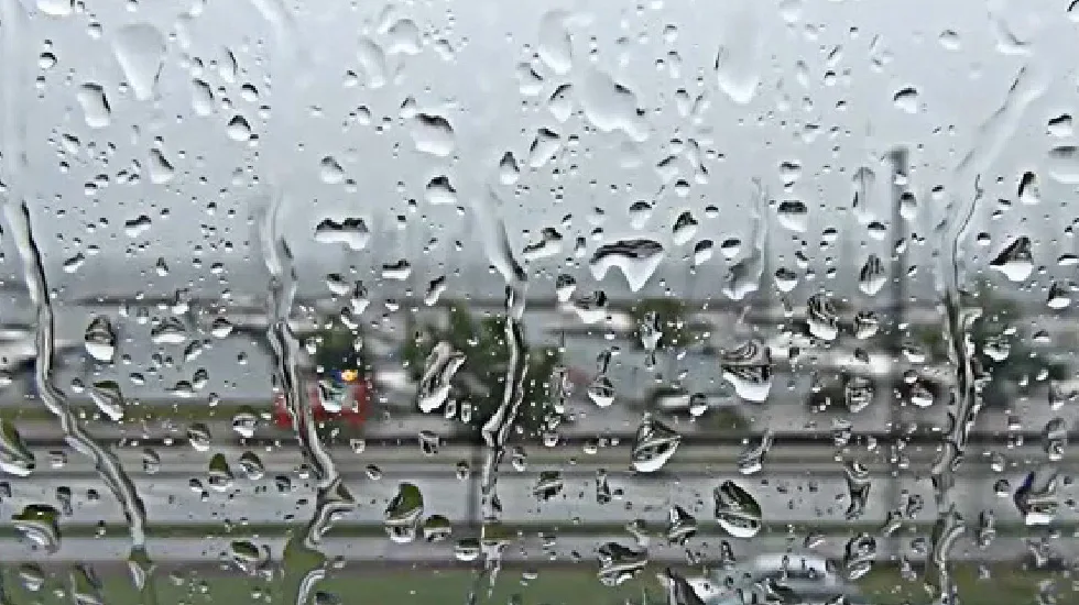 黑白体育以黑白体育为核心，带来高效便捷的体验。 - 黑白体育